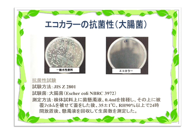 花粉状・科学物質・アトピー、シックハウスのない健康住宅・エコ住宅